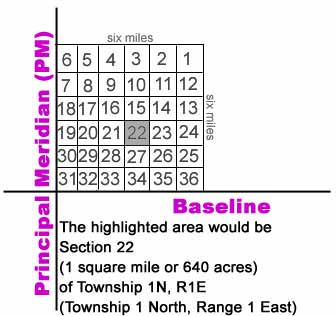 Rectangular Survey System